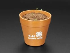 4-H Grow Your Own Clovers Kit With Circuit Playground Express (Soil Sensor Mini Kit) -The Pi Hut 4 h grow your own clovers kit with circuit playground express soil sensor mini kit the pi hut ada4241 28610739273923