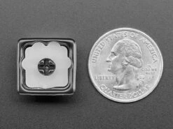 Black Aluminum Kitty Paw Keycap With Pink Silicone Toes -The Pi Hut black aluminum kitty paw keycap with pink silicone toes the pi hut ada4971 28814824865987