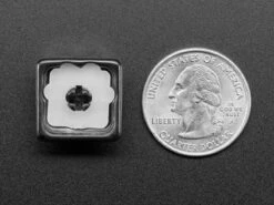 Black Aluminum Kitty Paw Keycap With Translucent Silicone Toes -The Pi Hut black aluminum kitty paw keycap with translucent silicone toes the pi hut ada4972 28814825586883