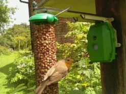 Naturebytes Wildlife Camera Kit -The Pi Hut naturebytes wildlife camera kit naturebytes 102189 16293828952126